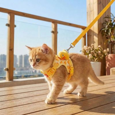 Chaton roux avec harnais chaton canard marche sur un balcon