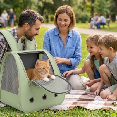 Sac à dos chat vert au parc avec une famille qui pique-nique