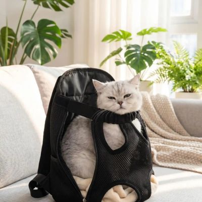 Sac transport chat ventral noir posé sur un canapé blanc.