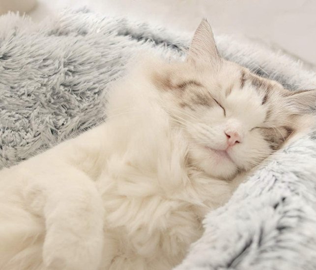 Niche pour chat - Joyeux Felin