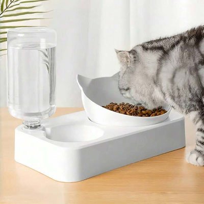 Base antidérapante et fixe pour gamelle chat double