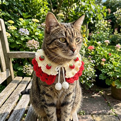Chat avec Collier chat col fraises tricoté assis sur un banc jardin.
