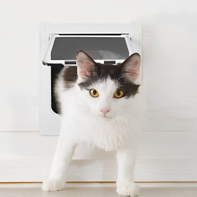 Chat bicolore noir et blanc franchissant une chatière pour chat de sécurité.
