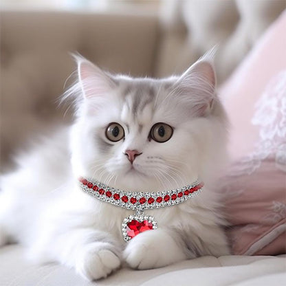 Chat blanc duveteux portant un collier pour chat à cœur rouge.