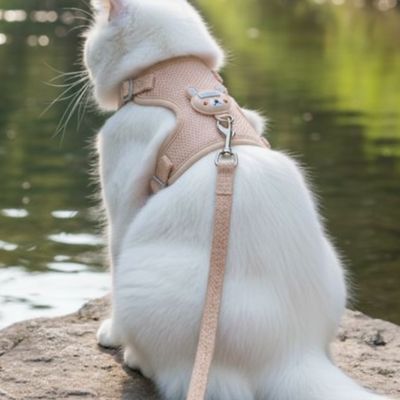 Chat blanc en harnais chat rose vue de dos.
