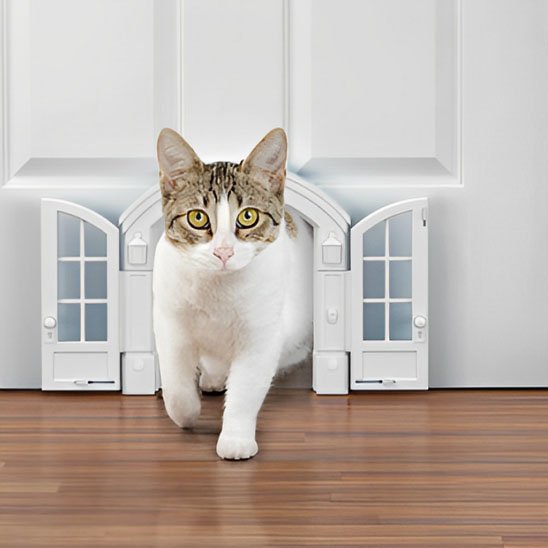 Chat blanc et gris passant par une élégante chatière architecturale.

