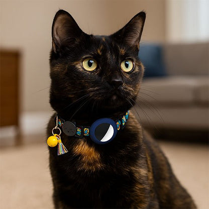 Chat écaille de tortue portant un collier-GPS-chat bleu.