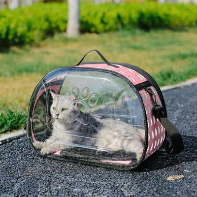 Chat gris dans un sac de transport pour chat rose hublot.