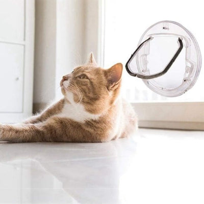 Chat roux allongé observant sa chatière pour chat sur fenêtre.
