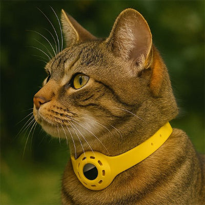 Chat roux assis au salon portant un collier GPS chat jaune.