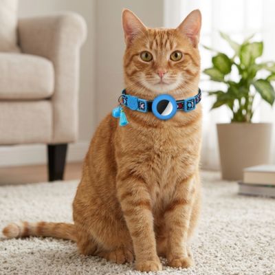Chat roux au salon portant un collier GPS chat bleu brodé.