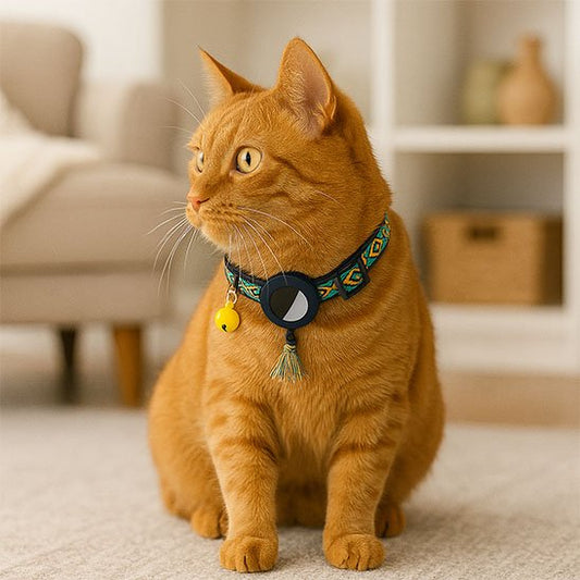 Chat roux au salon portant un collier GPS chat coloré.