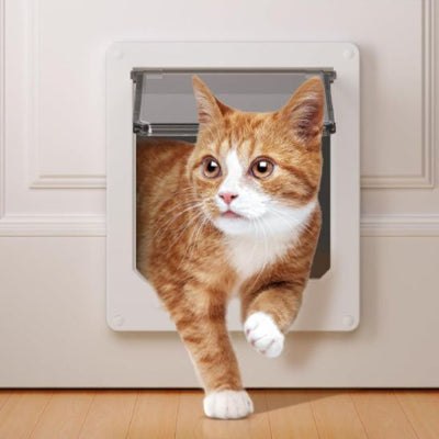 Chat roux et blanc traversant une chatière pour chat blanche avec clapet.
