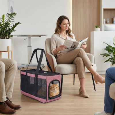Chat-sac-de-transport-rose-femme-elegante-assise-en-interieur
