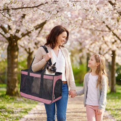 Chat sac de transport rose homme assis dans jardin verdoyant