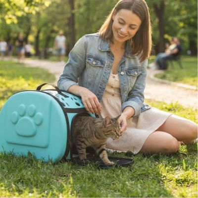 Chat sac transport femme assise sur herbe avec son chat.
