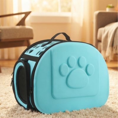 Chat sac transport pliable de couleur  turquoise sur un tapis.

