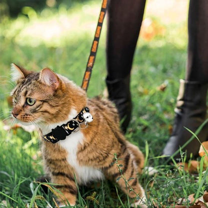Chat tigré avec collier anti-étranglement pour chat dans l'herbe.
