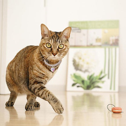 Chat tigré avec collier pour chat brillant et pendentif cœur coloré.