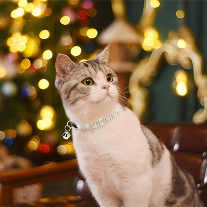 Chat tigré collier chat strass clochette fond lumineux flou pose élégante