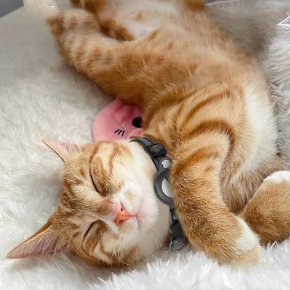 Chat tigré roux endormi avec un collier noir avec traceur Air Tag