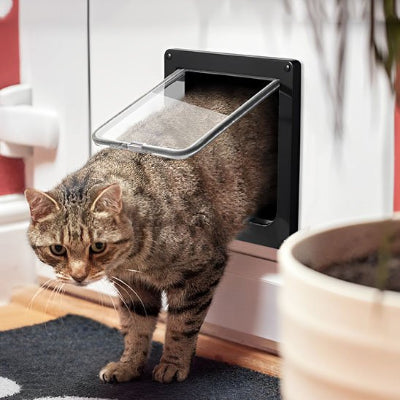 Chat tigré brun passant à travers une chatière noire ouverte.

