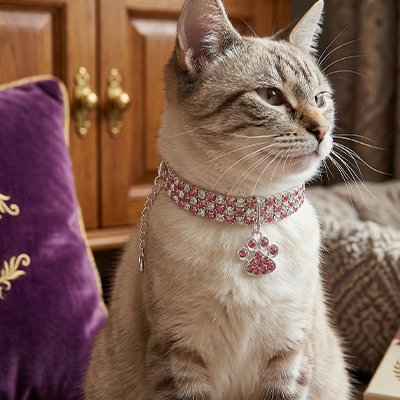 Chat tigre clair avec collier chat rose scintillant pendentif patte.
