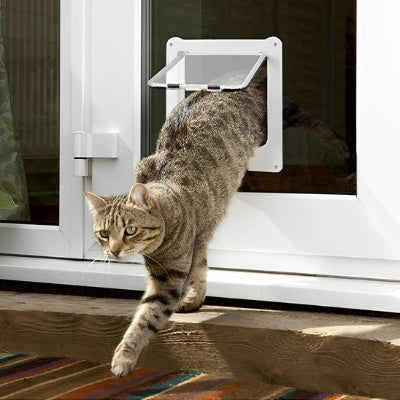Chat roux et blanc traversant une Chat tigré sortant vers l'extérieur par une chatière pour chat vitrée robuste.
