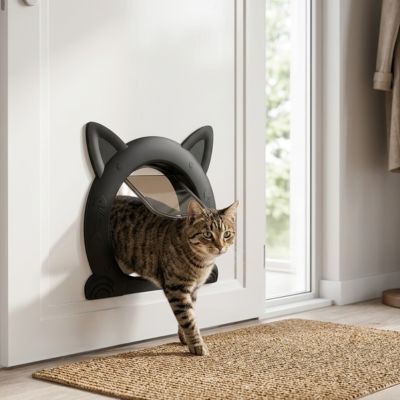 Chat tigré traversant une chatière noire en forme de chat.

