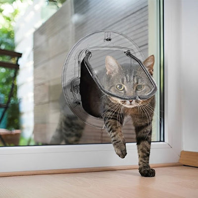 Chat tigré traversant une chatière pour chat transparente sur vitre.
