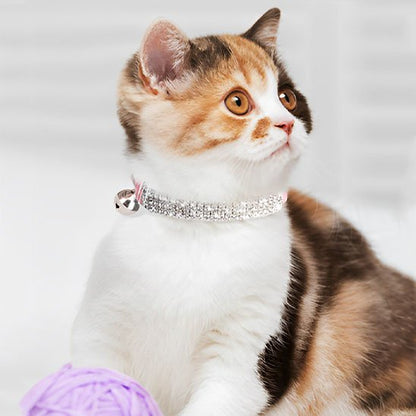 Chat tricolore collier chat strass pelote lavande regard curieux.
