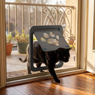 Chatière moustiquaire fenêtre coulissante et chat noir.