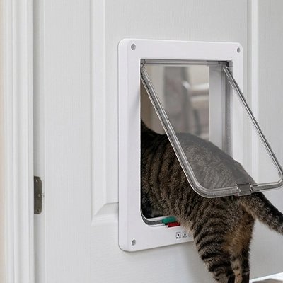 Chatière pour chat à volet transparent et cadre blanc.