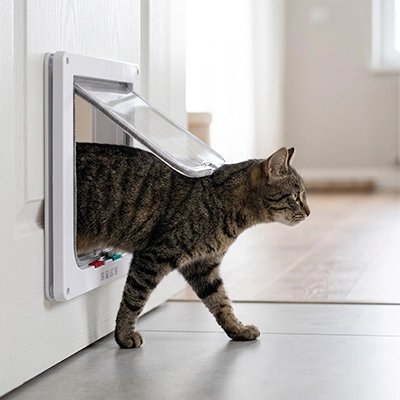 Chatière pour chat franchie par un chat tigré.