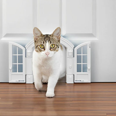 Chatière pour porte d'intérieur blanche et chat blanc

