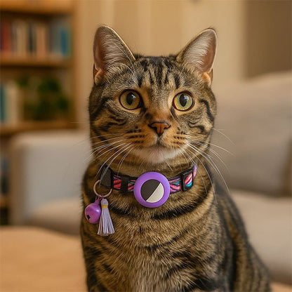 Chaton blanc dans un panier portant un collier GPS chat violet.