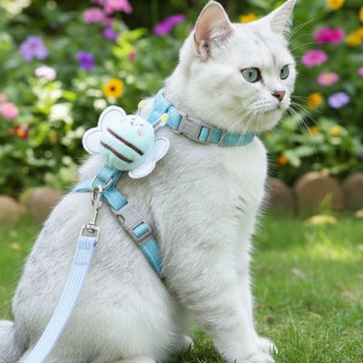 Chats blancs avec harnais pour chat bleu en forme d_abeille