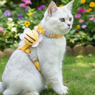 Chats blancs avec harnais pour chat jaune en forme d_abeille au jardin