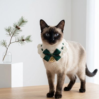 Collier chat Siamois vert et blanc, branche sapin et festif.

