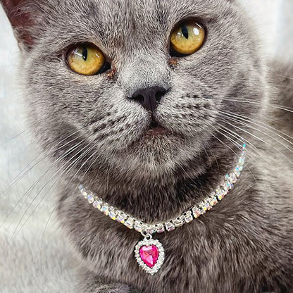 Collier pour chat bleu en cuir avec cristaux et boucle argentée.