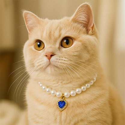 Collier pour chat de luxe en perles nacrées et coeur bleu saphir sur un chat tigré
