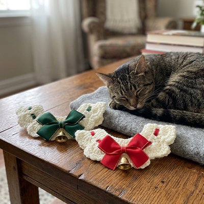 Colliers chat festifs un chat endormi decorations ambiance chaleureuse.
