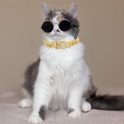 Cool chat porte lunettes de soleil collier pour chat doré style incroyable.