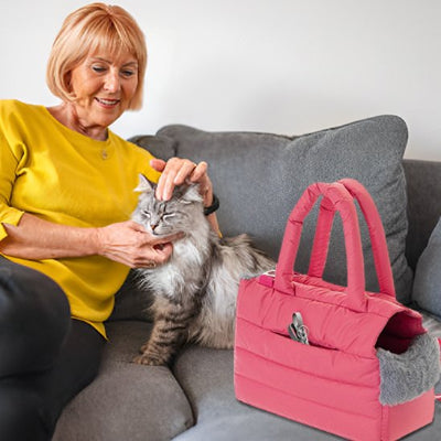 Sac à main transport chat Femme caressant chat sur canapé confortable



