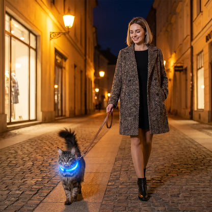 Femme marche la nuit avec un collier 
lumineux pour chat.