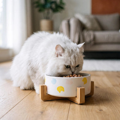 Gamelle Chat céramique et bambou design scandinave
