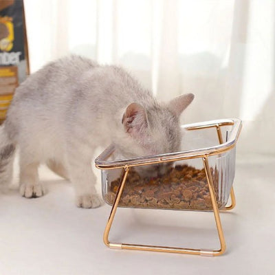 Gamelle Chat surélevée avec bols inclinés pour repas