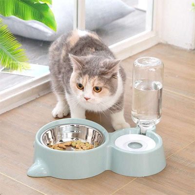 Gamelle chat double bleu pastel avec bol inox et eau