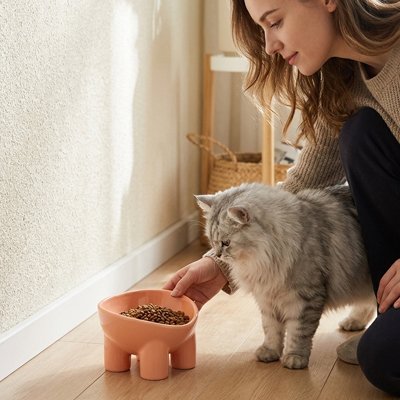 Gamelle chat rose terracotta surélevée avec un chat et sa maîtresse