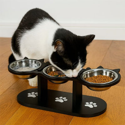 Gamelle chat surélevée 3 bols avec chat qui mange.